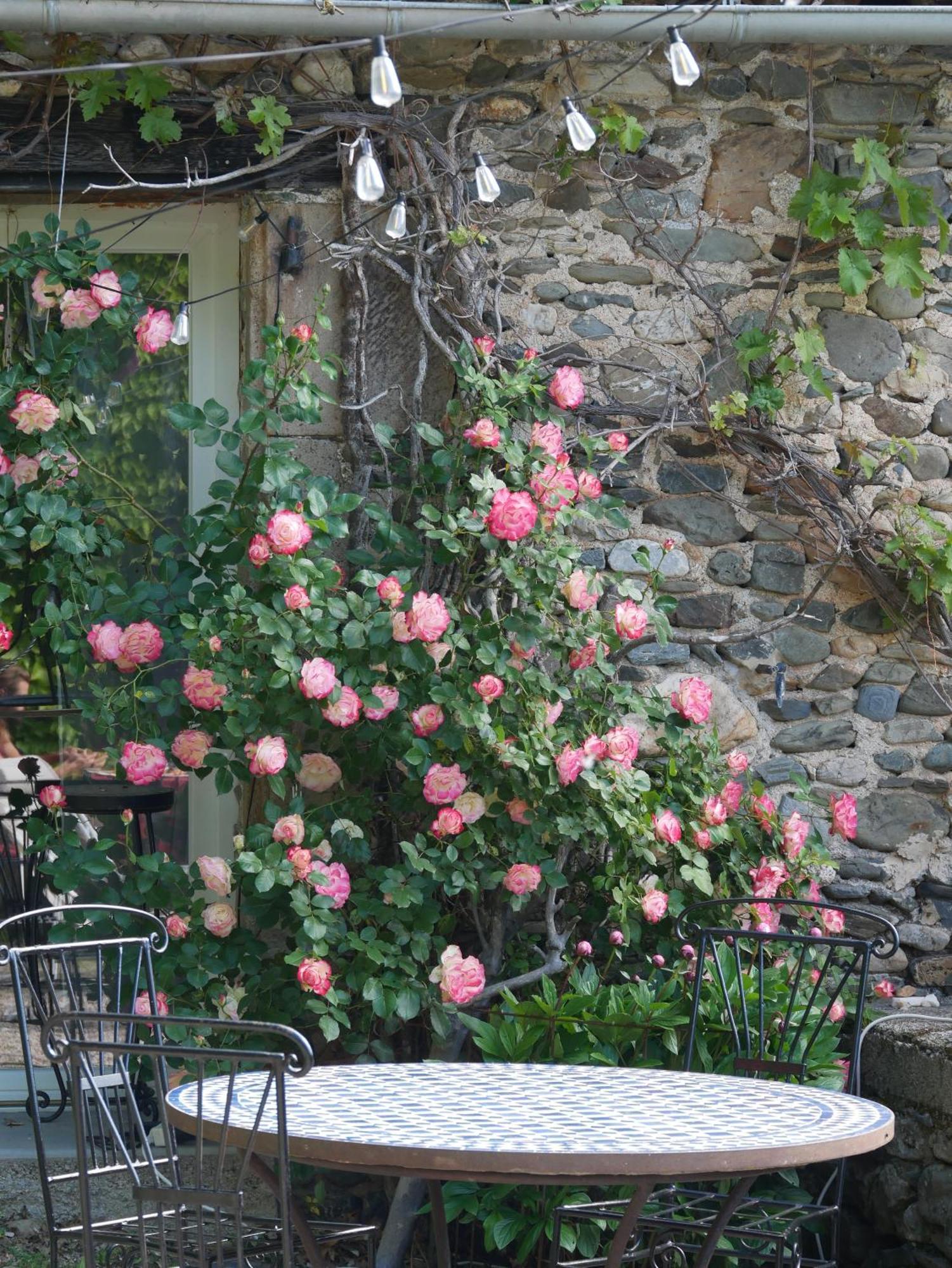 Les Jardins De Lumiere Bed and Breakfast Brusque Exteriör bild
